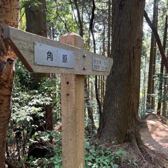 分岐まで戻ってきました。