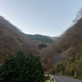 コグルミ谷まで軽くランニング🏃‍♀️💨
寒いから🤣