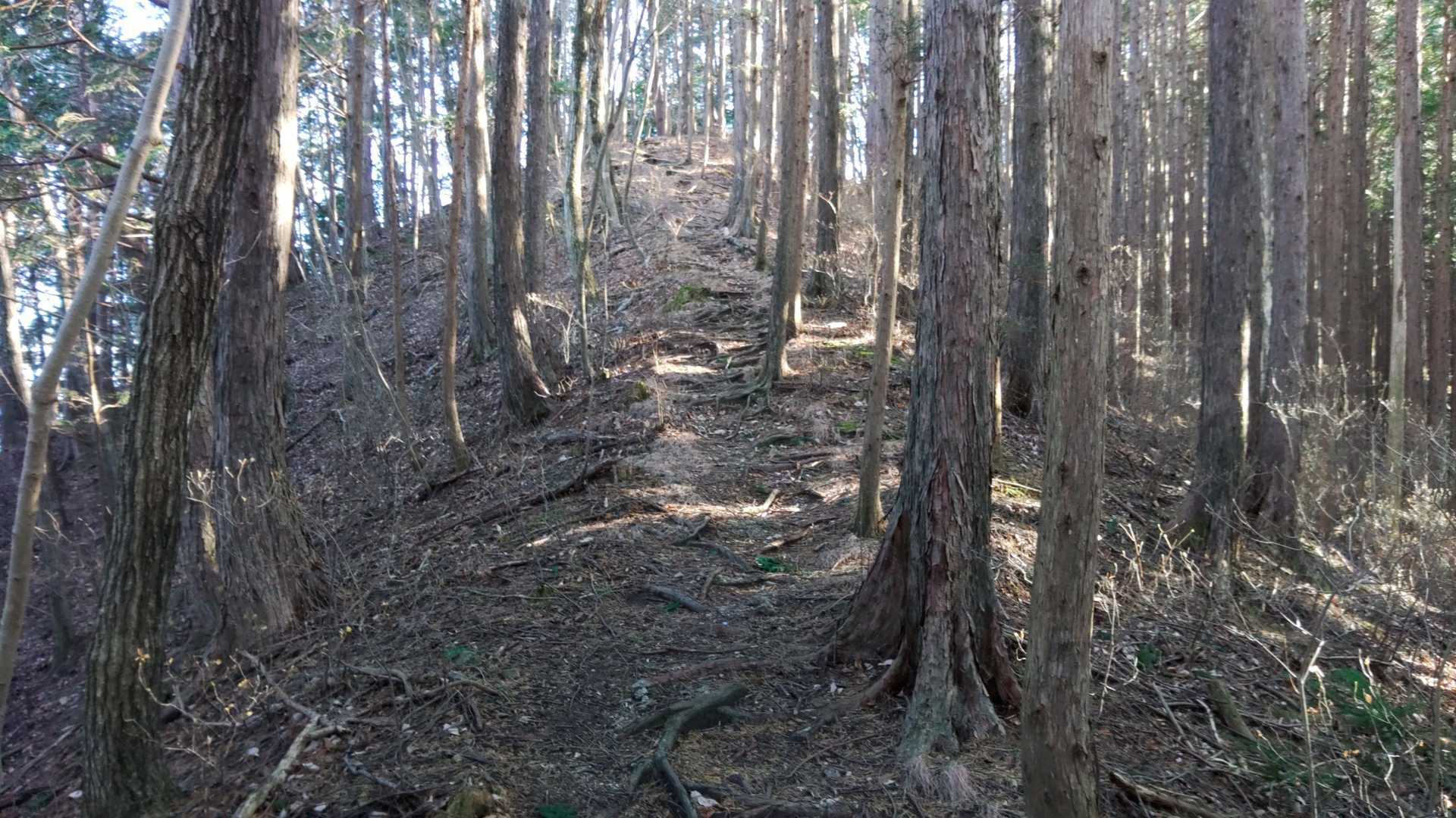 この先はなだらかに