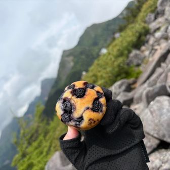分量間違えたけど出来た😂
ブルーベリー🫐マフィン