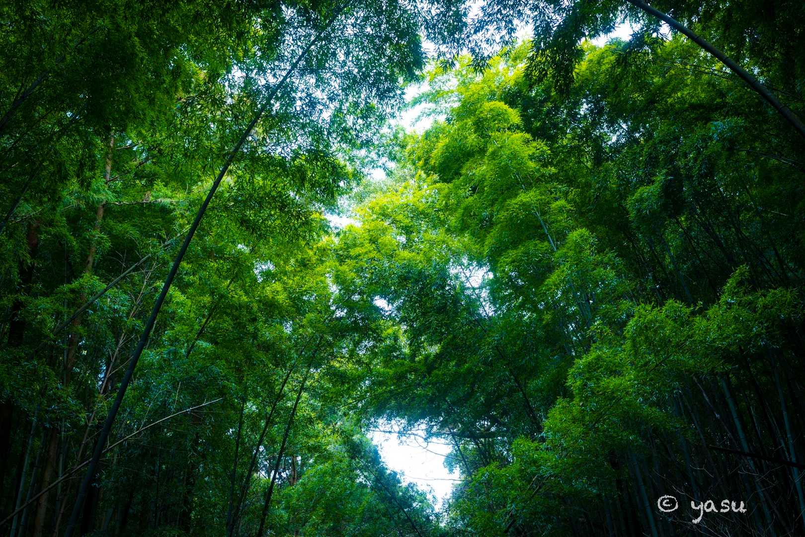 笠置山-千石登山口 周回コースの写真