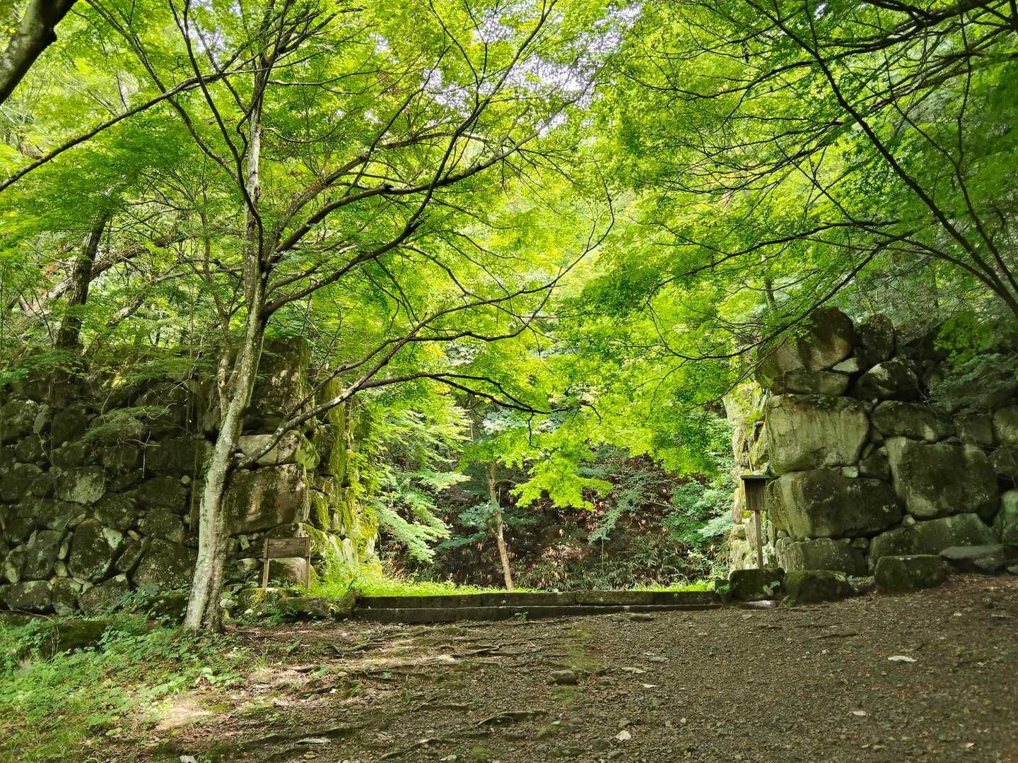 本丸-城山 往復コースの写真
