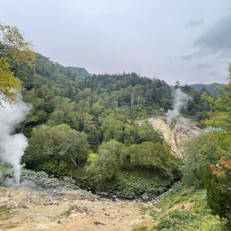 ちょっと寄り道の噴火口👌