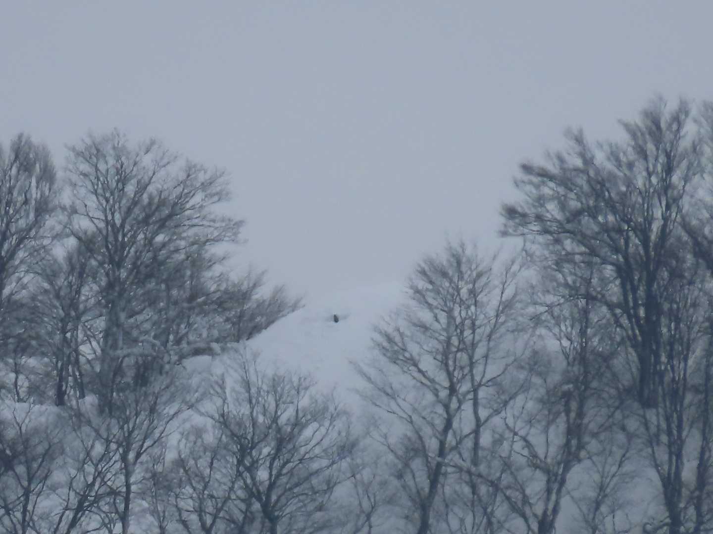 何だこの黒いの⁉標柱が掘り出されてる？何か悔しさがこみ上げて来たぞ（悔）