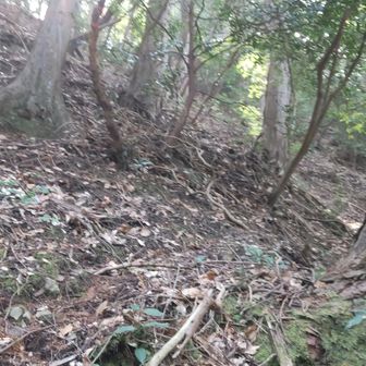 その先、少しだけ進みましたが滑りそうで危ないので、別の道あるかもと思って戻りました