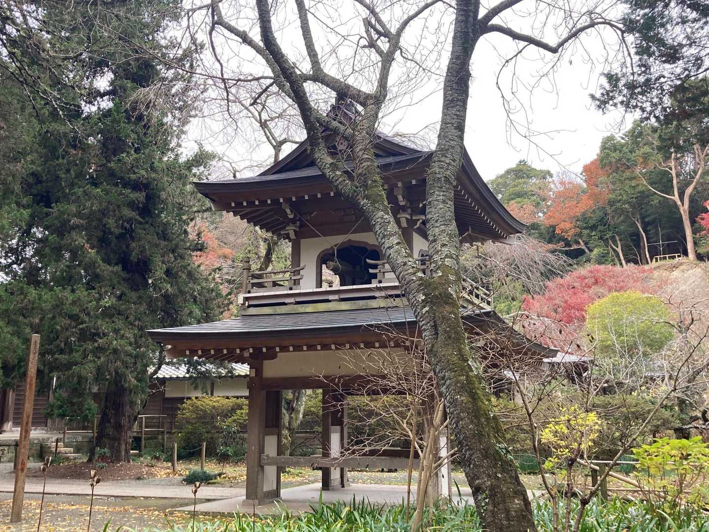 朝の浄智寺。しんとして、気持ちがシャキッとしました。