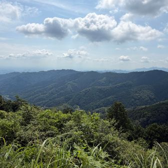 景信山からの小仏城山〜高尾山の稜線👍