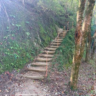 しばらく車道を歩いて、ここからまた登山道の登りです。