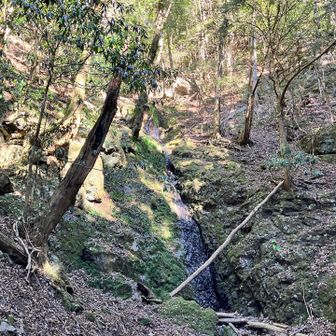 沢沿いに出てきました。ゴールが近いサイン