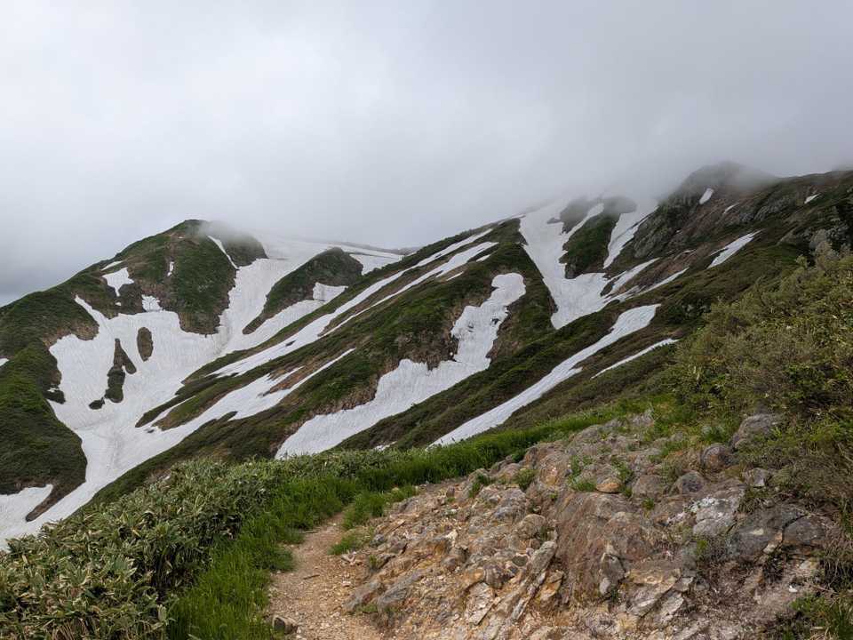 石抱橋バス停-道行山-百草ノ池-越後駒ヶ岳 往復コースの地図・登山ルート・登山口情報 | YAMAP / ヤマップ