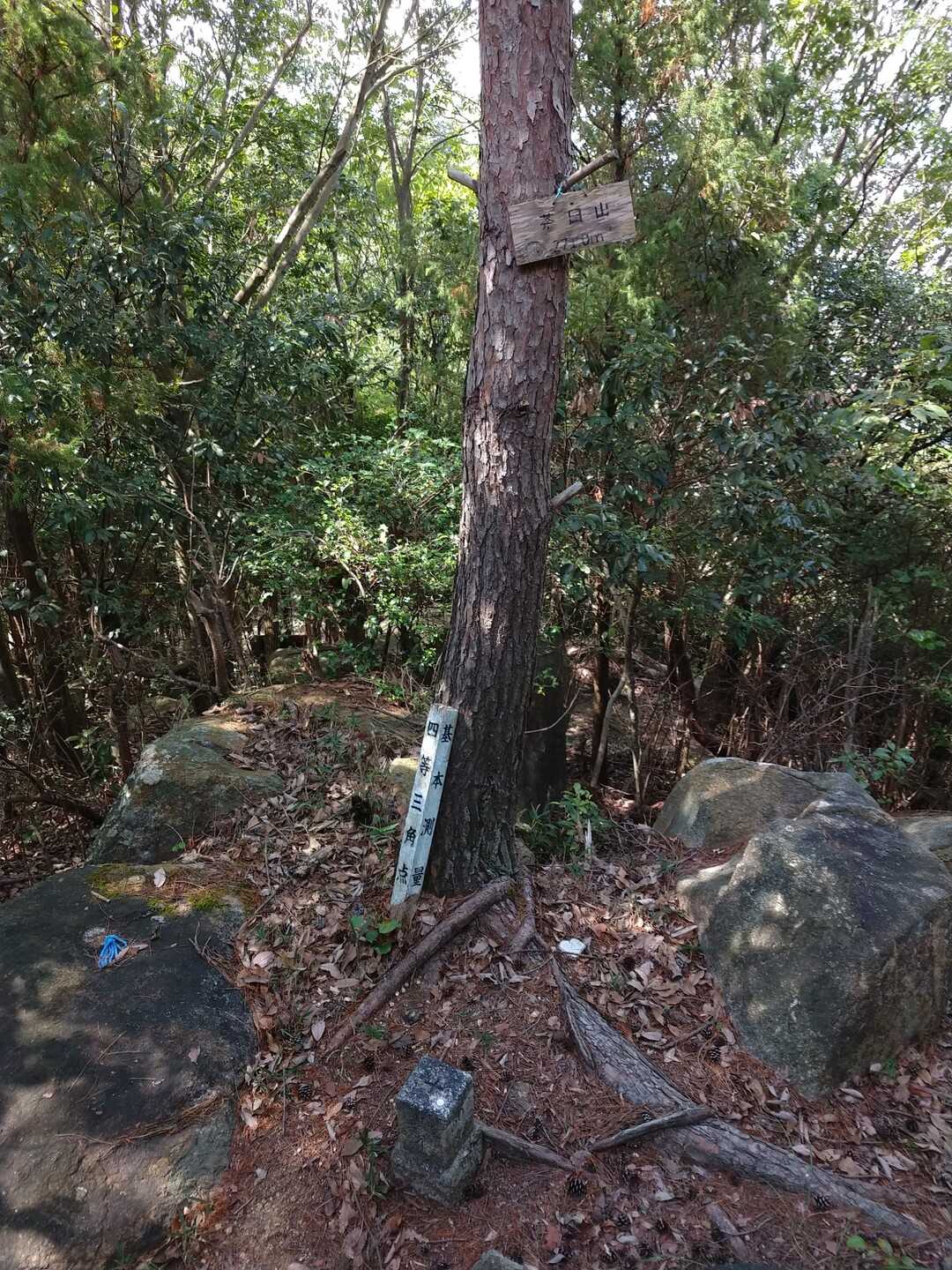 茶臼山の写真