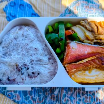 鷲ヶ頭山の木陰でお弁当を頬張ります。

お弁当をリュックから出す時に、帽子を脱いだ時、サングラスのテンプルにつけているメガネ紐が引っかかってパキっと折れた💧