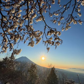 こんなの撮ってたら