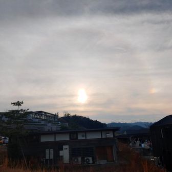 くろまめ