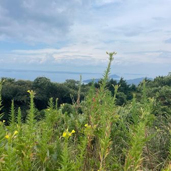 山頂展望台から唐津方面