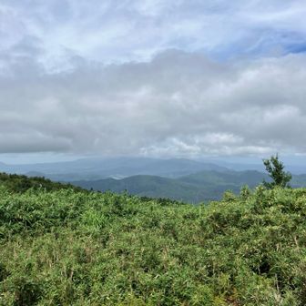 蒜山方面は雨が降ってそう