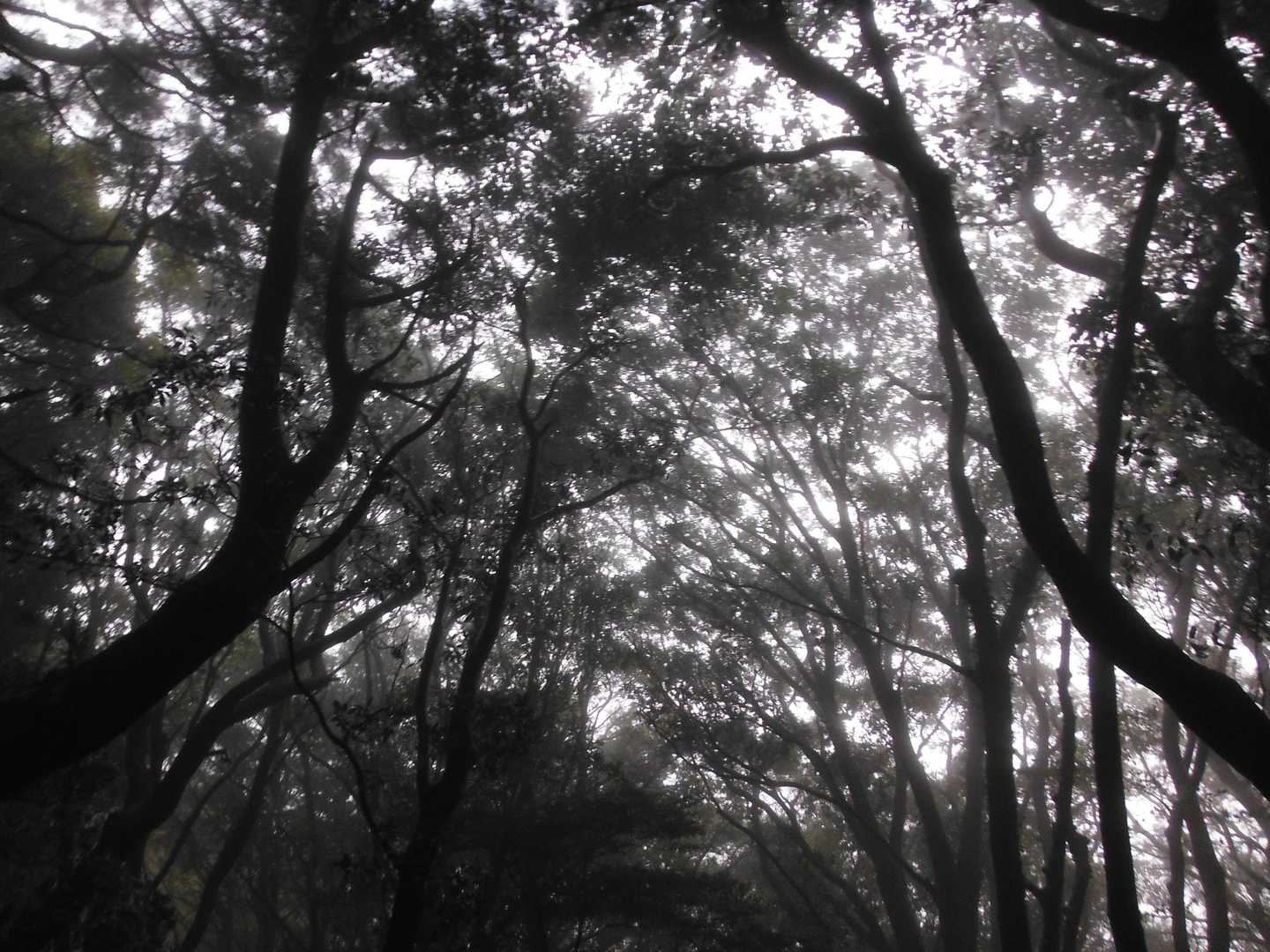 夢的な