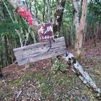 千ノ時山頂標識
変わった名前の山頂