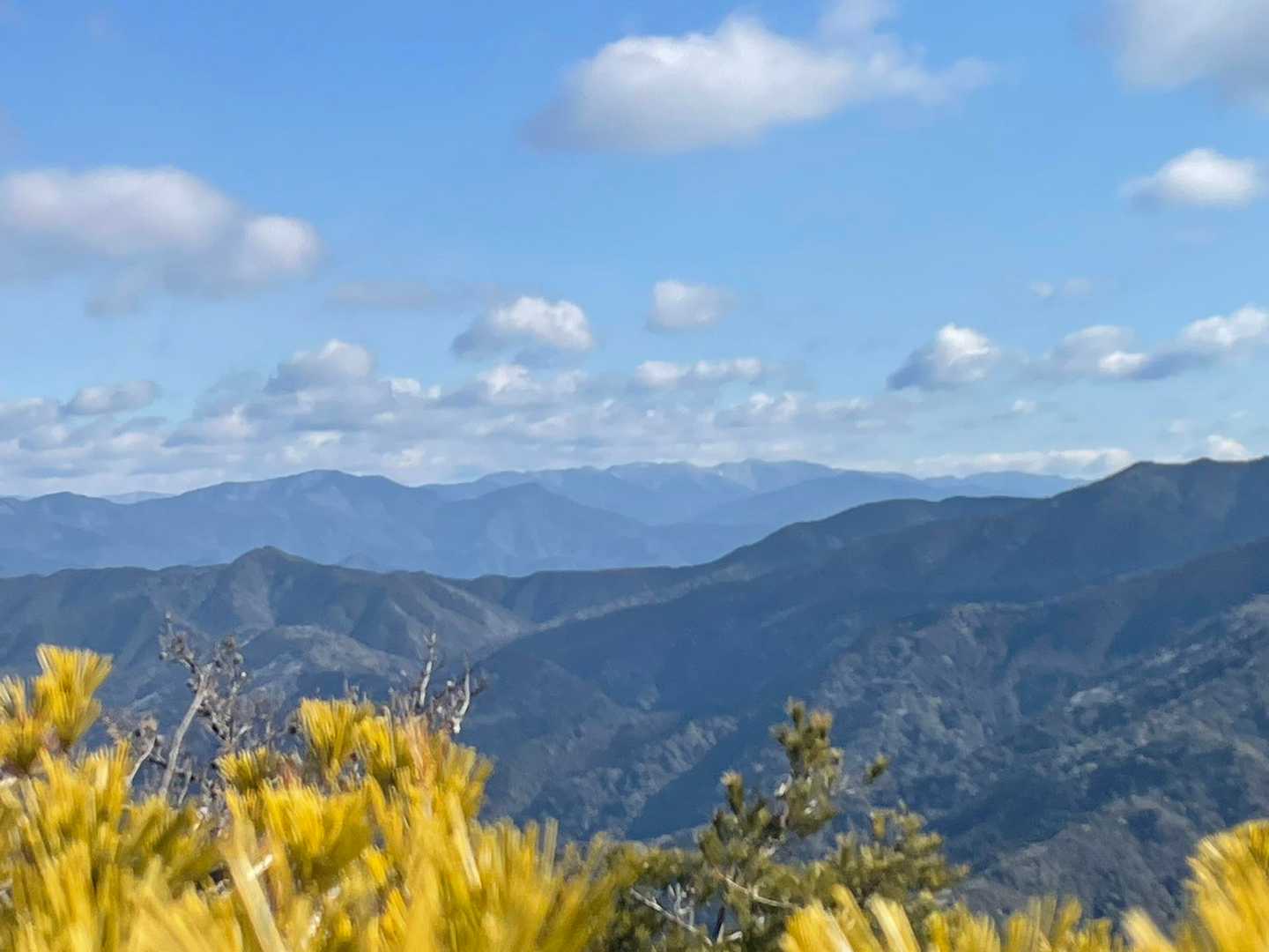 奇絶峡-高尾山 往復コースの写真