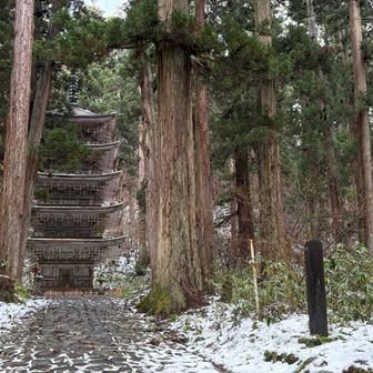 静かだぁ
誰もいないこの時間