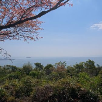ひろ晃