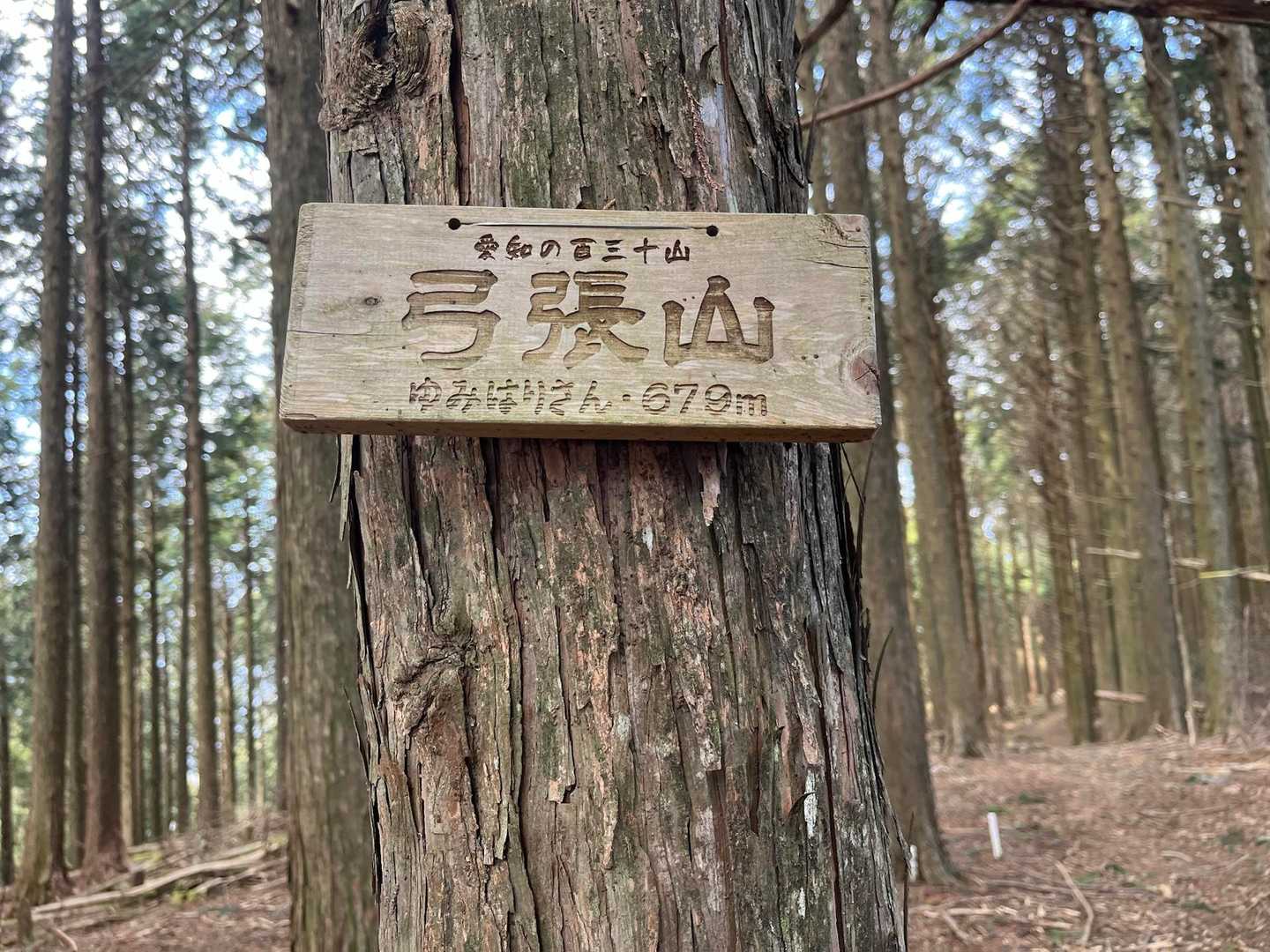 大森山-城山-弓張山-浅間山 周回コースの写真