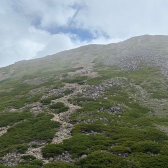 元気が有り余っている2人は空身で山頂GETに向かう（中腹辺りにいます）👀
私は靴が当たってる脚が痛過ぎて断念🥲
実は100高山だったと、SAで遭遇したY師匠から聞いてちょっぴり後悔🥲