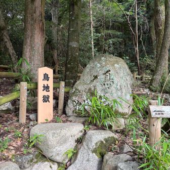 鳥も水を飲みにきて死んでしまったから