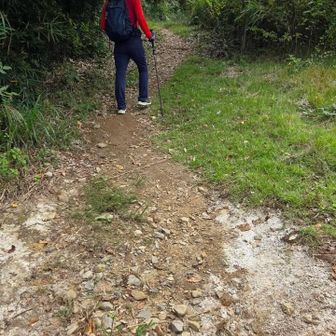 宝篋山塊に来ると道が整備され広いです。