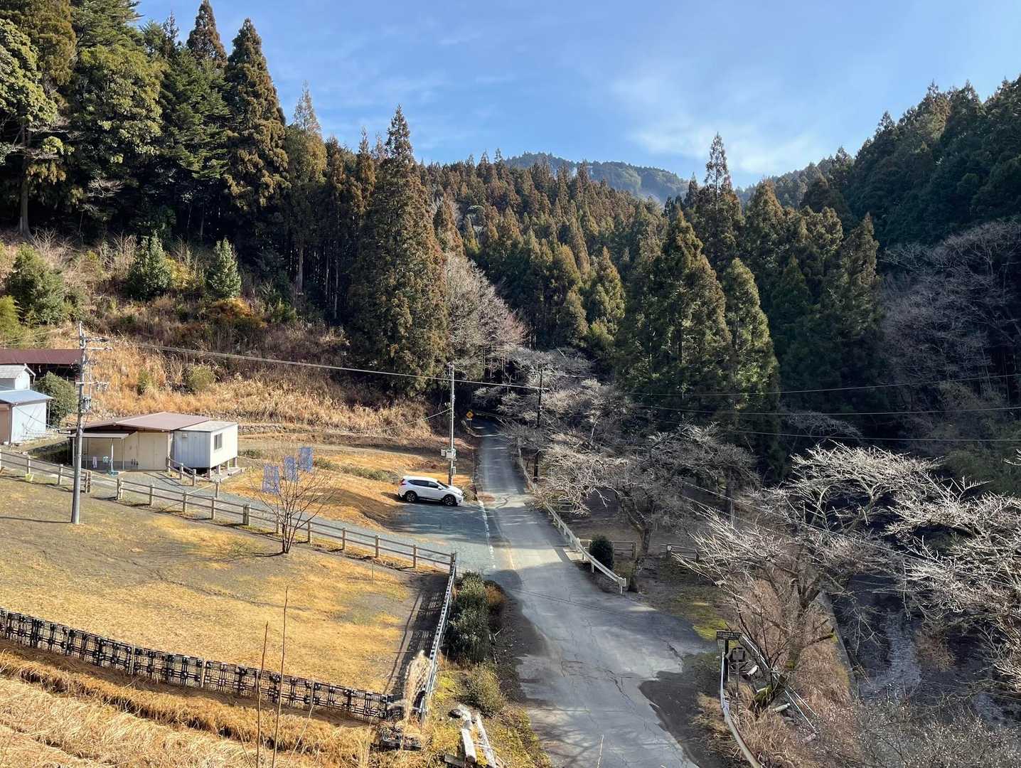 出発直後、いきなり急登後、車を振り返る。
登山道のあちこちに「『ココは登山道、バイク禁止』地主より」の看板が。春埜山の地主さんが登山者に解放してくださっていることがわかる。駐車した場所も地主さんの土地だろうか……ありがとうございます。
駐車場らしき場所はそこしか無い。
出発時に電波📶でんぱが届かない……