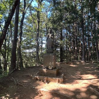山頂全景