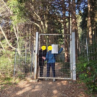 入口で、捕らわれてるお2人‪🤣‬

いや…カメ足🐢📸の私を待っててくれてる図ꉂ😁