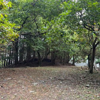 奥のこんもりとした丘が山頂