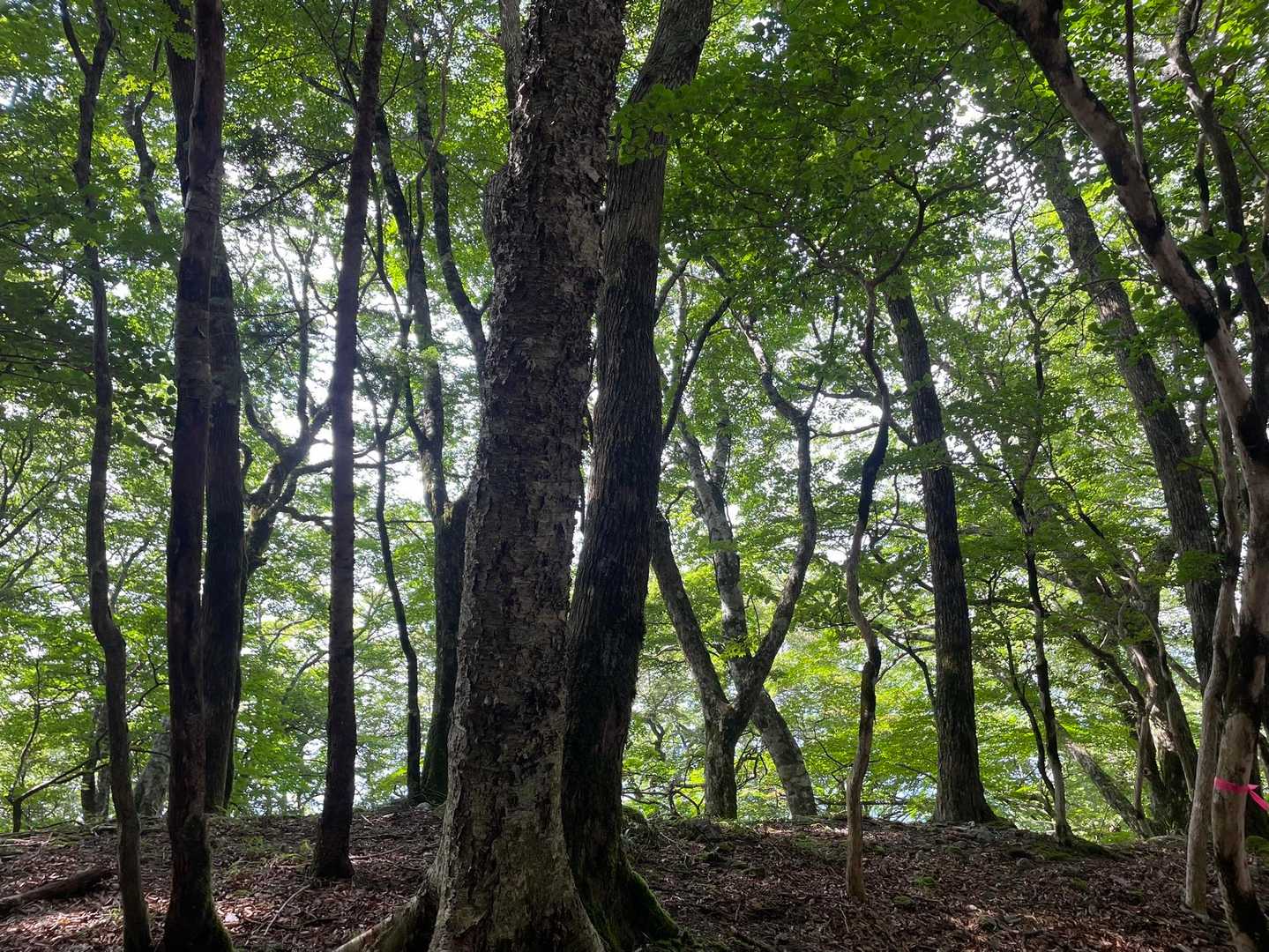 今日もいいお山でした😊