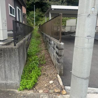 西山の出口はこんなとこ😅