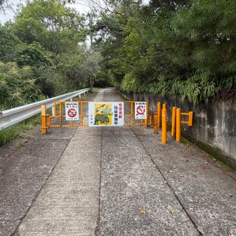 じわりじわりと坂道を登ります💪
