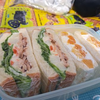 「ソッチー何も持ってこんでいいよー」と言ってくれたひーちゃんに、お言葉に甘えてご馳走になりました🙏

早起きして作ってくれたチャーシューポテサラサンドとフルーツサンド🥪
美味しかった～🤩