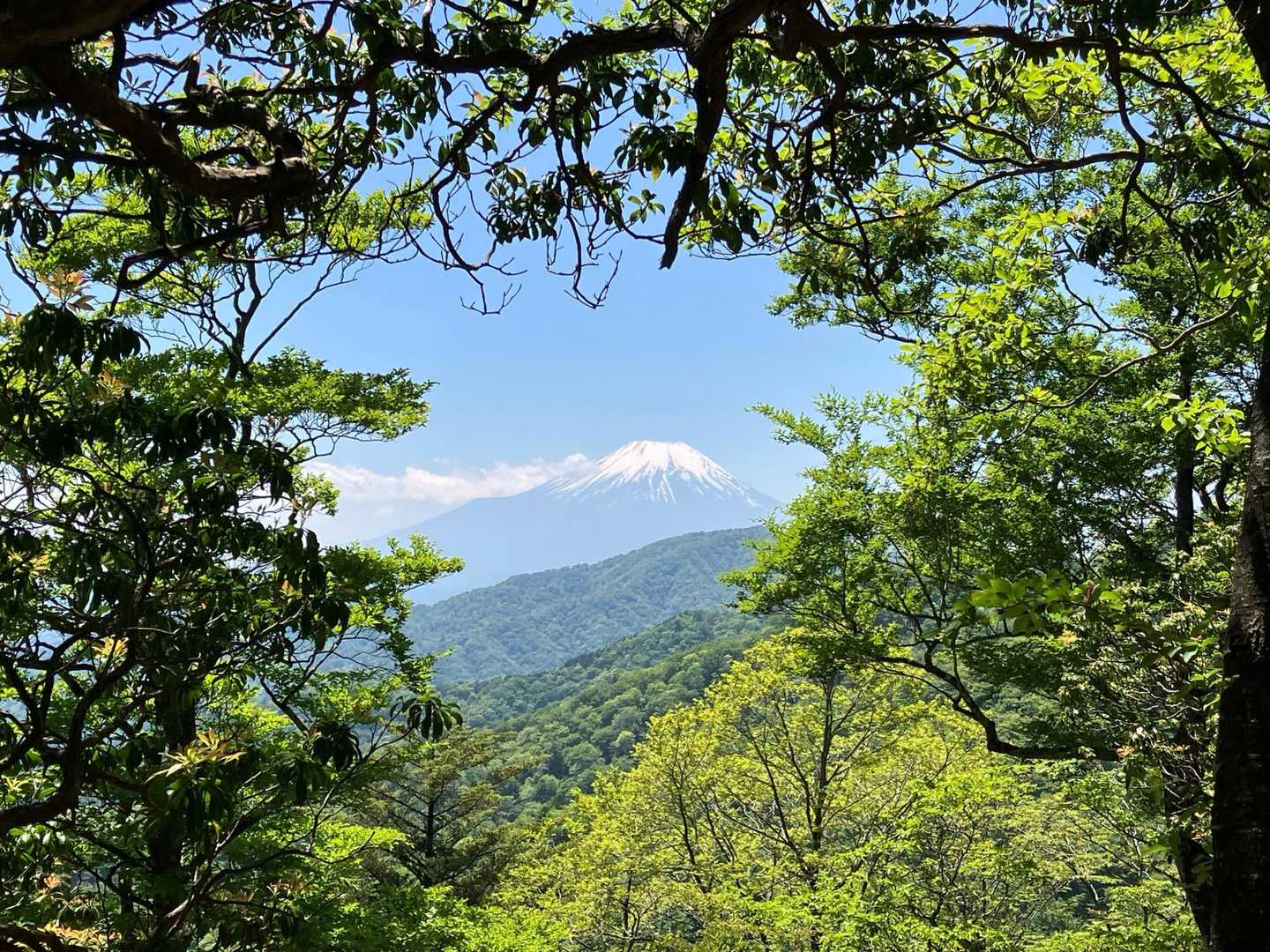 いつも有り難うございます♪