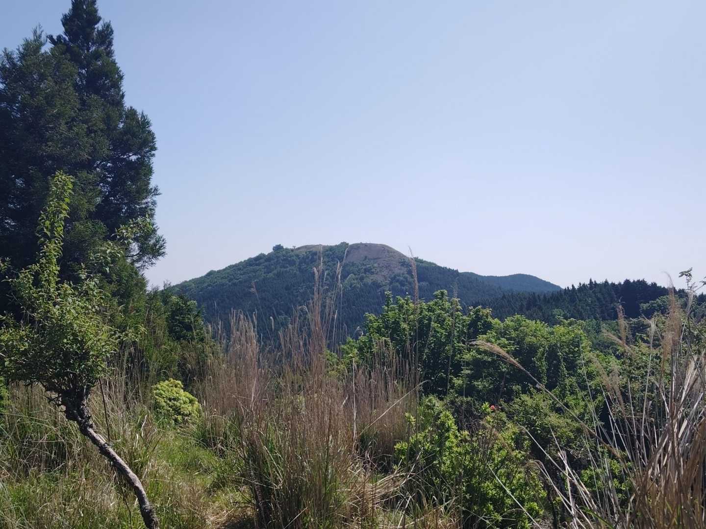 森を抜けて開けた場所に出た✌️
学能堂山が見えました🙌🎵