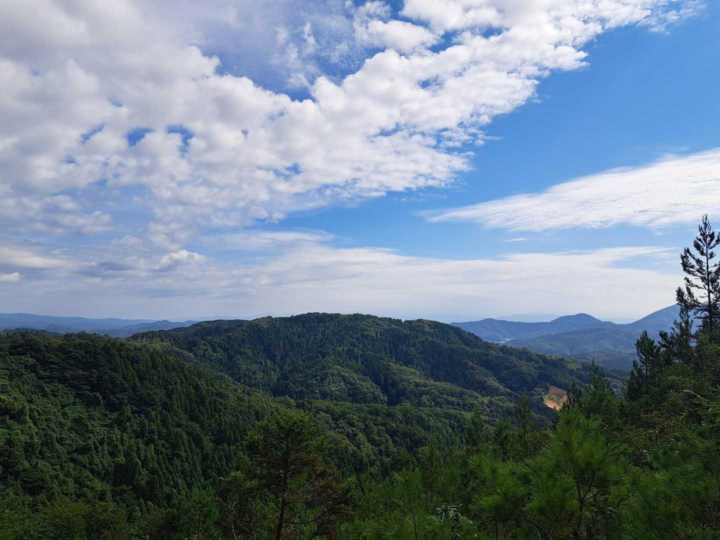 何山か調べる余裕なく、
先に進む🚶‍♀️🚶‍♂️🚶‍♀️🚶‍♀️