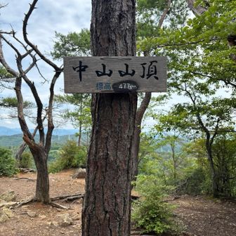唯一見つけた山頂プレート