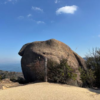 ここにも岩🪨がでんと。