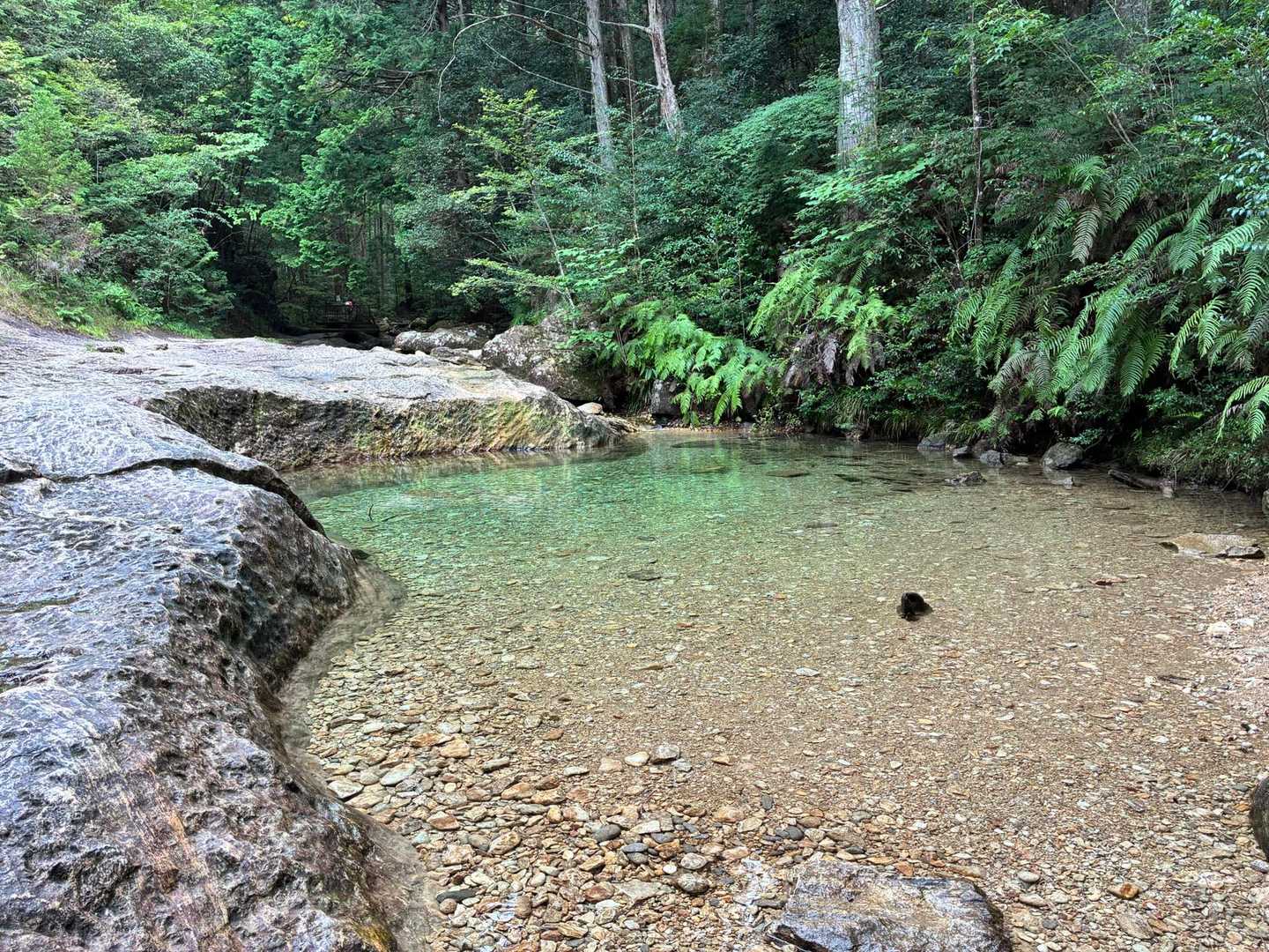 水が綺麗