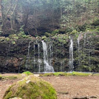 千条の滝
木陰にペンチもあり、しばらく滝を見ながら涼みました🎐
とても気持ちの良い場所です🎶
外国の方とたくさんすれ違い、箱根が人気の観光地であることを実感