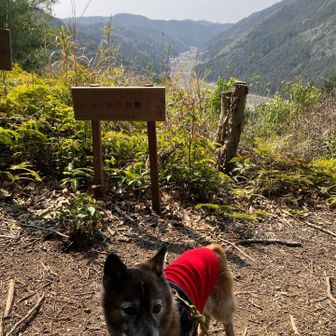 見晴台「まさみ台」にてパチリ