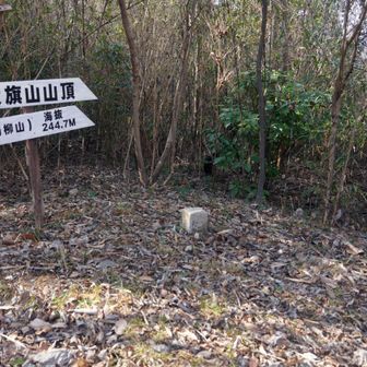 大旗山(揚柳山) 山頂