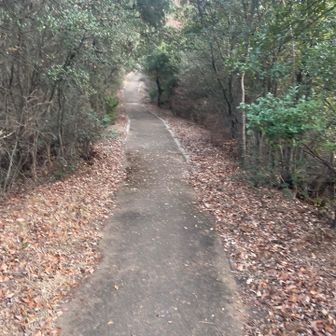 昔は無舗装だった　ちょっと残念