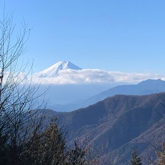奈良倉山山頂の展望台より。
雪化粧した美しい富士山。女形のような色気を感じる🤍