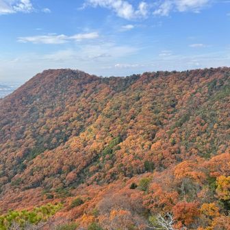 見てみて！この紅葉の景色！
めっちゃ素晴らしい✨✨😍
この景色見ながら、のんびりランチタイム〜♪
幸せ♡