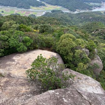 山頂からの景色